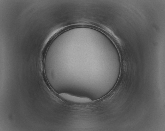 X0000116621368200912241744