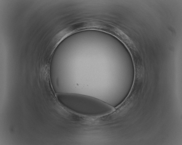 X0000116621369200912241744