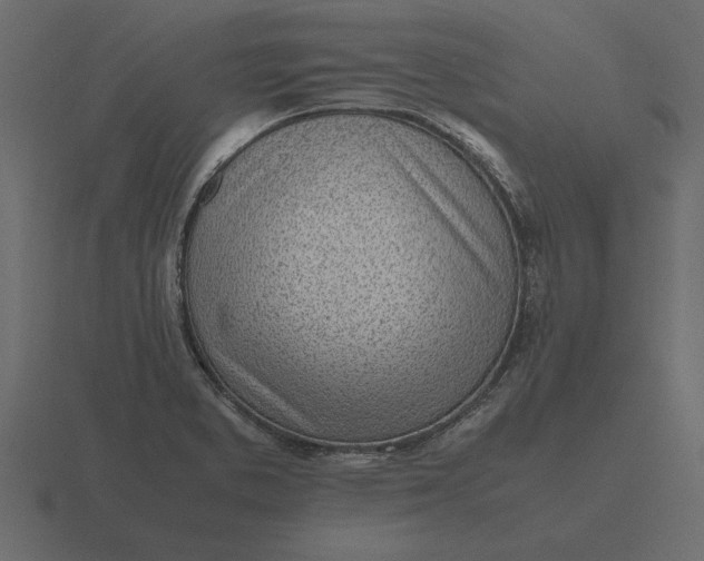 X0000116621373200912241744