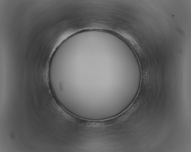 X0000116621374200912241744