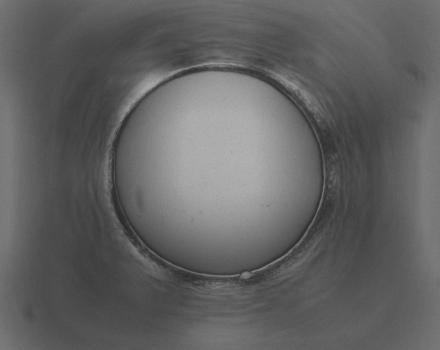 X0000116621375200912241744