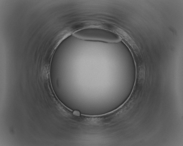 X0000116621377200912241744