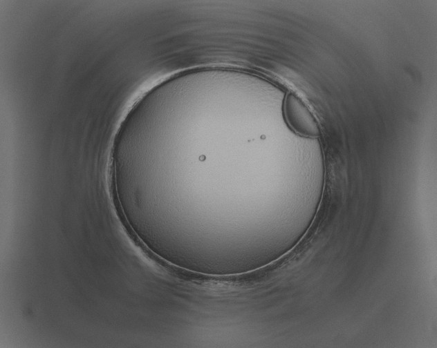 X0000116621379200912241744