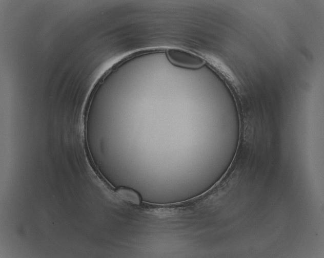 X0000116621380200912241744