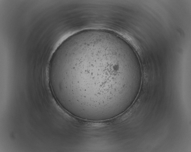 X0000116621382200912241744