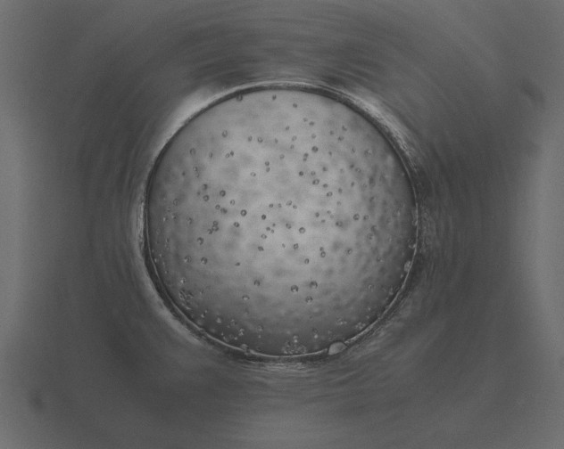 X0000116621383200912241744