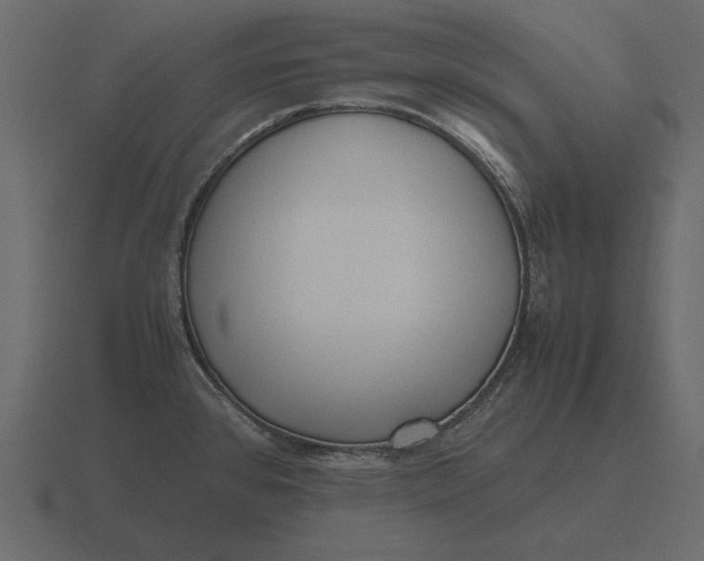 X0000116621384200912241744