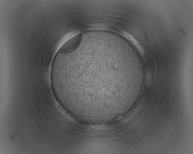 X0000116621386200912241744