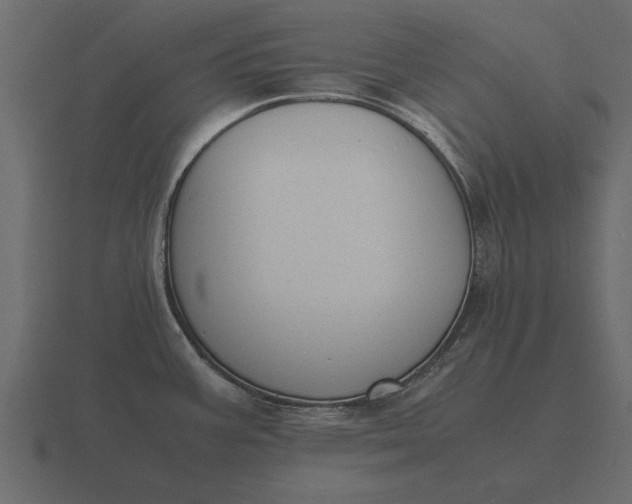 X0000116621387200912241744