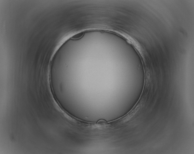 X0000116621390200912241744