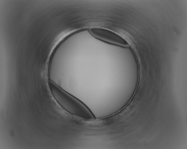 X0000116621392200912241744