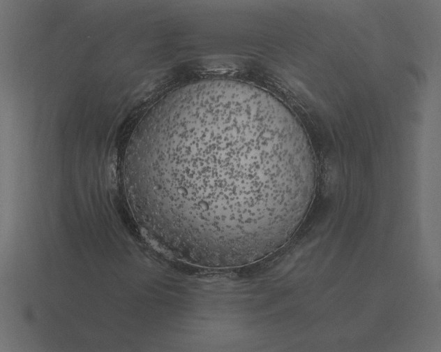 X0000116621394200912241743