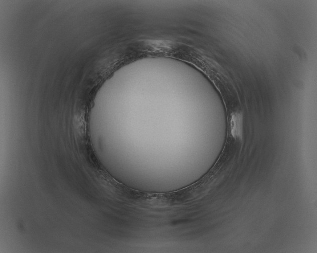 X0000116621395200912241743