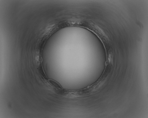 X0000116621396200912241743