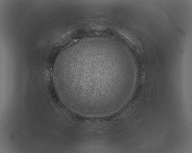 X0000116621397200912241743