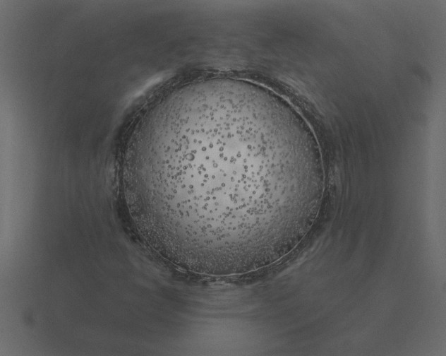 X0000116621398200912241743