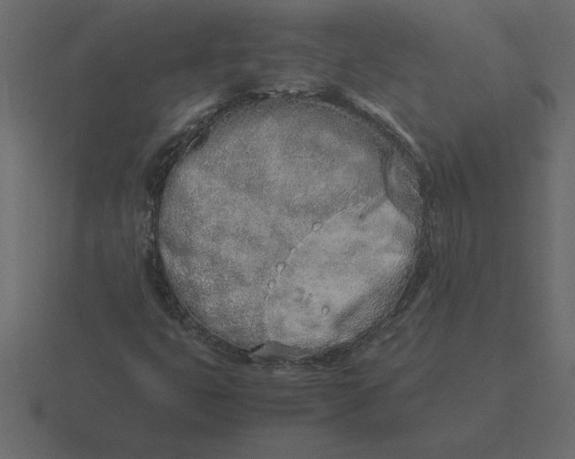 X0000116621399200912241744