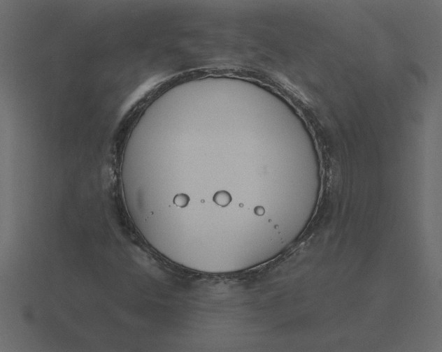 X0000116621400200912241744