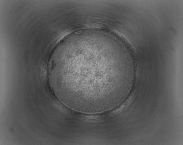 X0000116621401200912241744