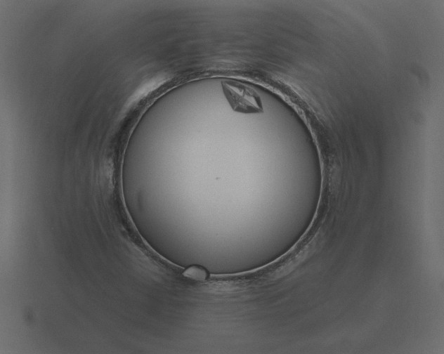 X0000116621402200912241744