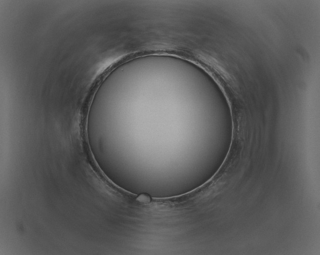 X0000116621404200912241744