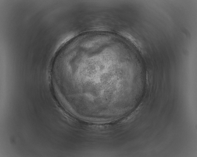 X0000116621405200912241744