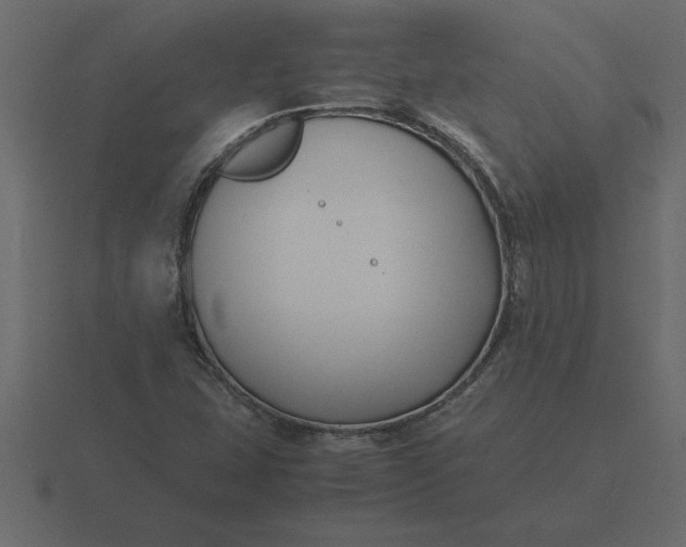 X0000116621407200912241744