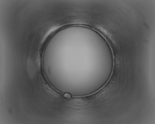 X0000116621408200912241744