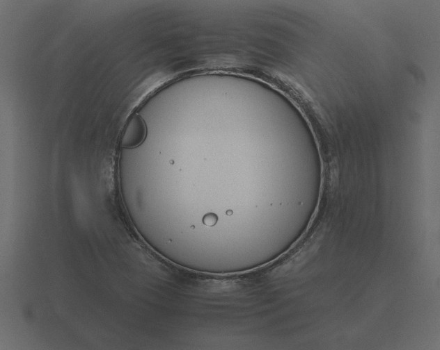 X0000116621409200912241744