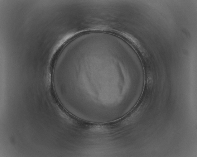 X0000116621414200912241744