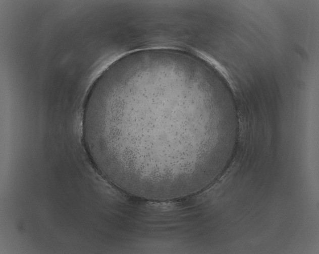 X0000116621415200912241744