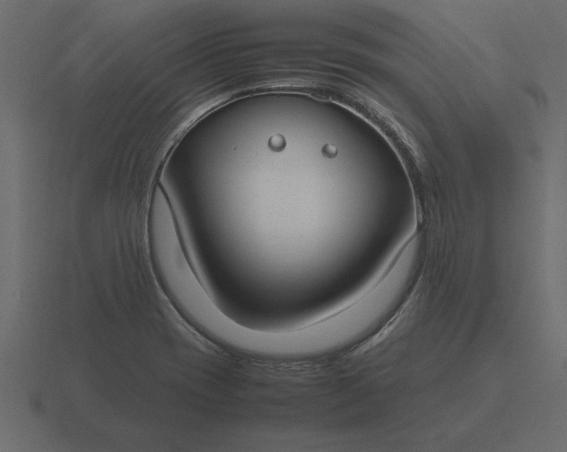 X0000116621417200912241744