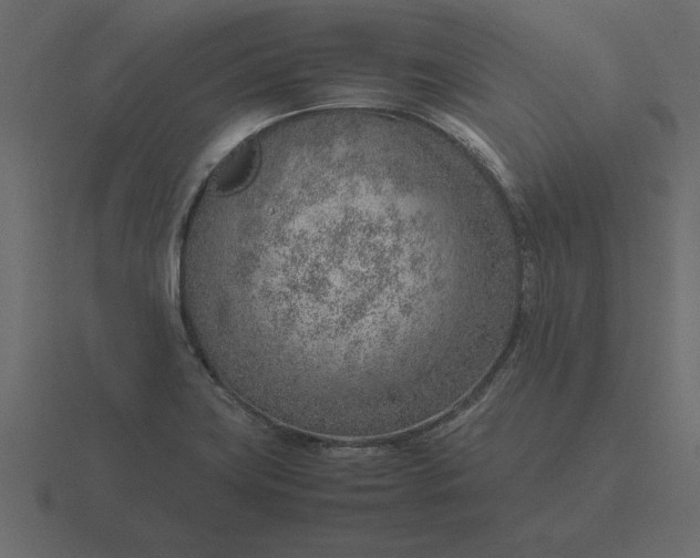 X0000116621419200912241744