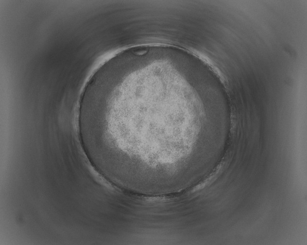 X0000116621421200912241744