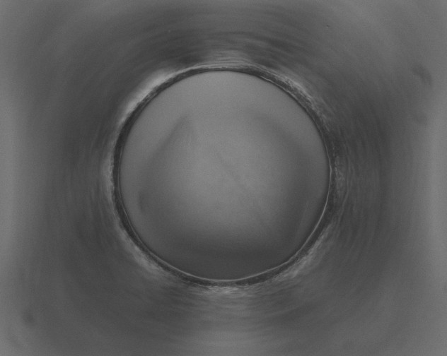 X0000116621422200912241744