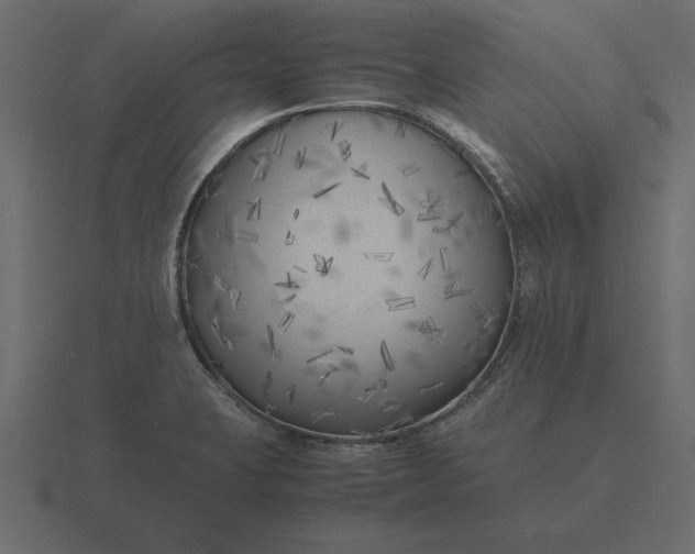 X0000116621423200912241744