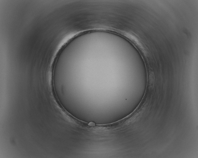 X0000116621424200912241744