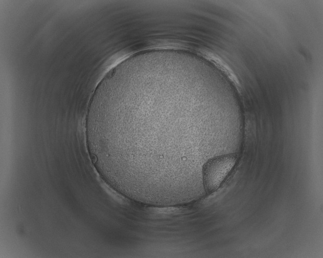 X0000116621425200912241744