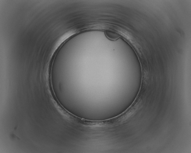 X0000116621426200912241744