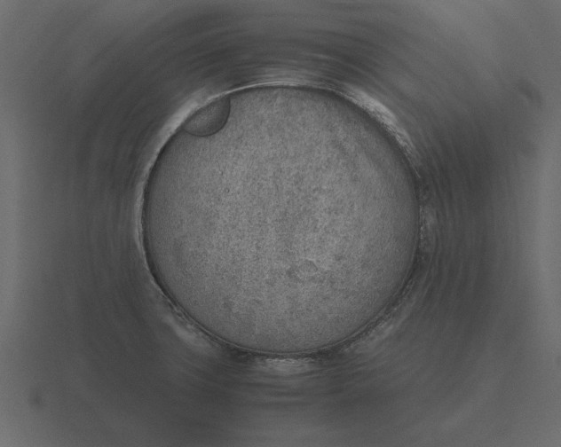 X0000116621427200912241744