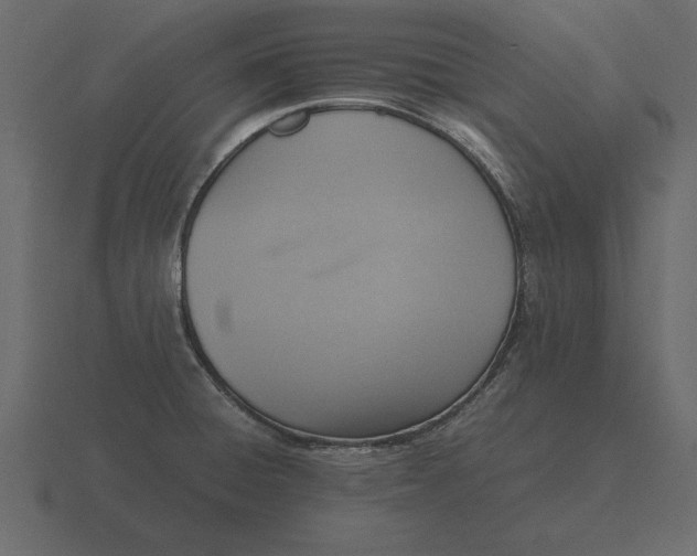 X0000116621428200912241744