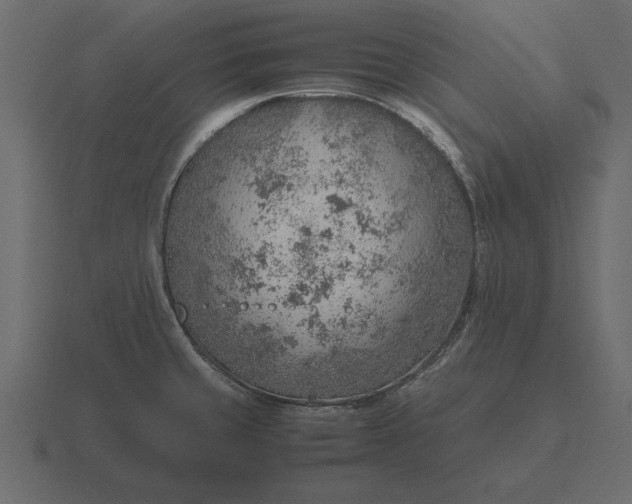 X0000116621429200912241744