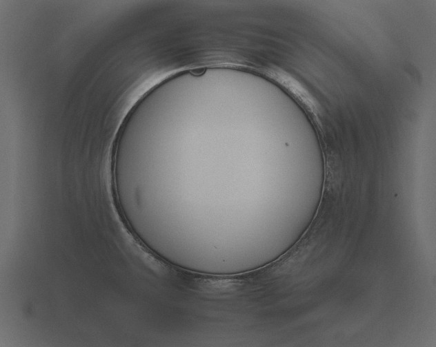 X0000116621431200912241744