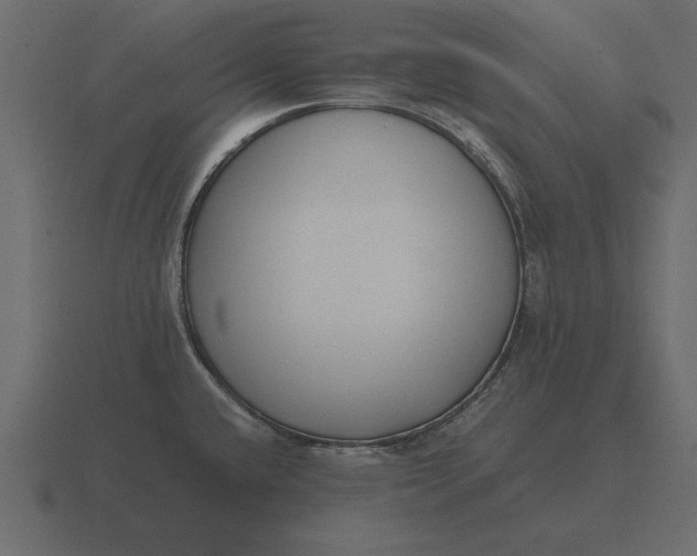 X0000116621432200912241744