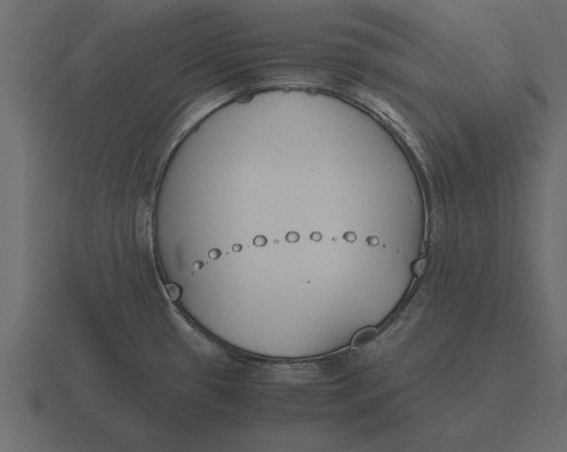 X0000116621433200912241744