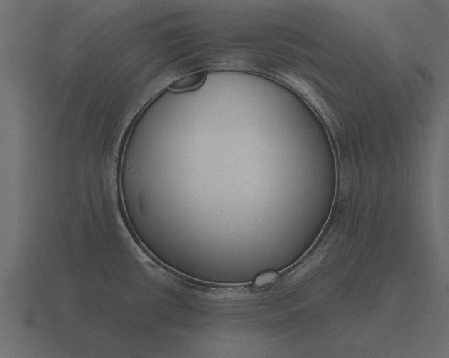 X0000116621434200912241744