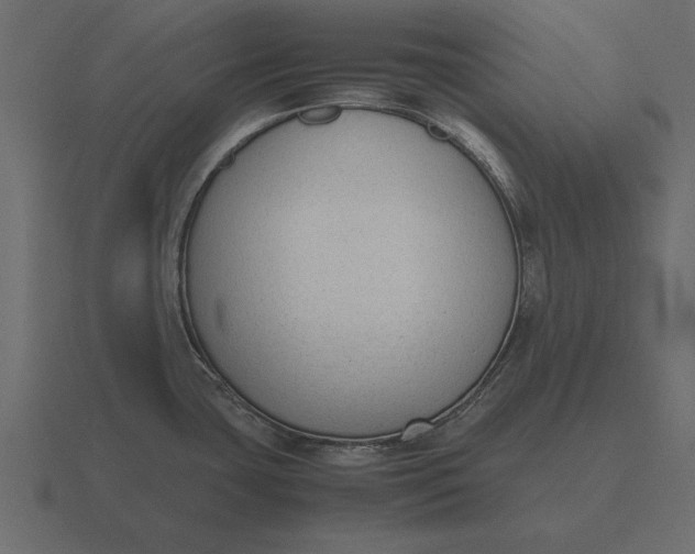 X0000116621435200912241744