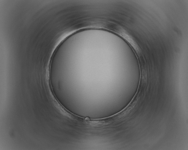 X0000116621436200912241744