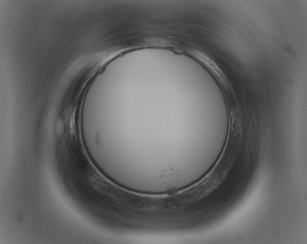 X0000116621439200912241744