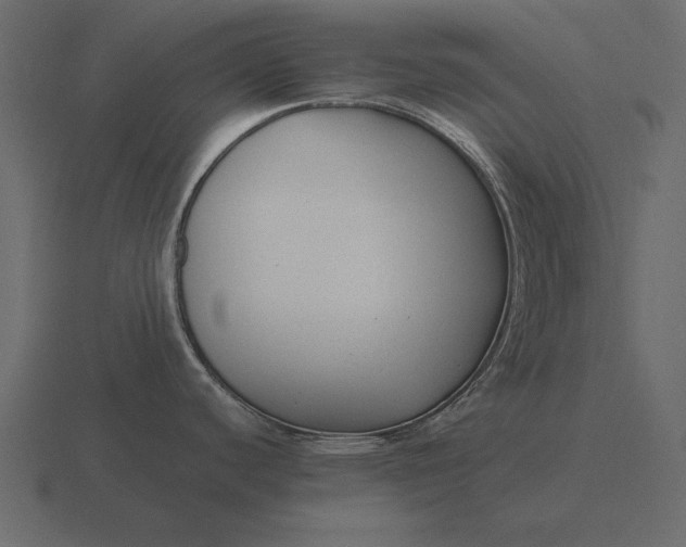 X0000116621440200912241744